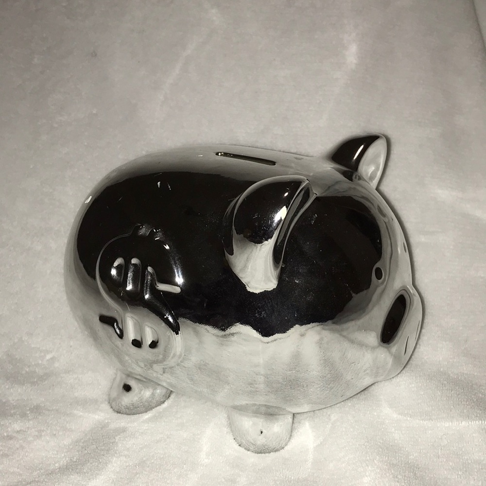 Cute Silver Reflected Piggy Bank